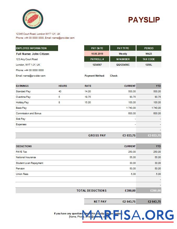 Blank Food meat company earning statement real example